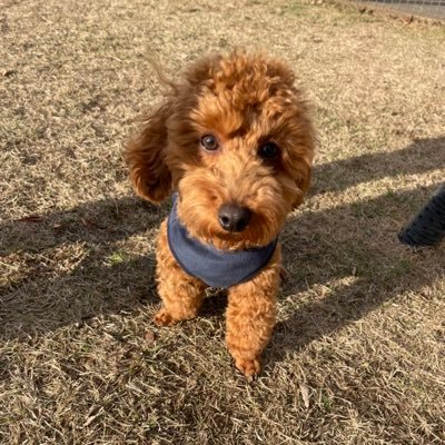 manato99999's profile picture. アビスパのサッカーとサポーターが好きすぎる大学生です