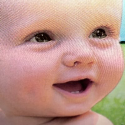 YangInfo's profile picture. Follower of Elon M