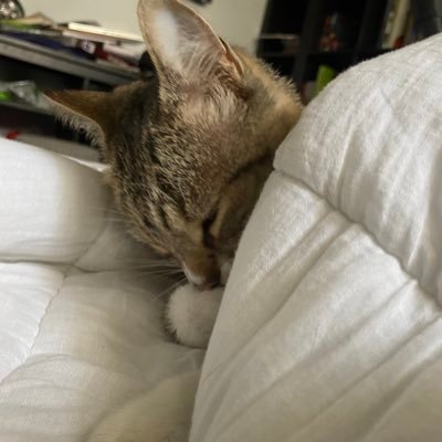 imapersonlolさんのプロフィール画像