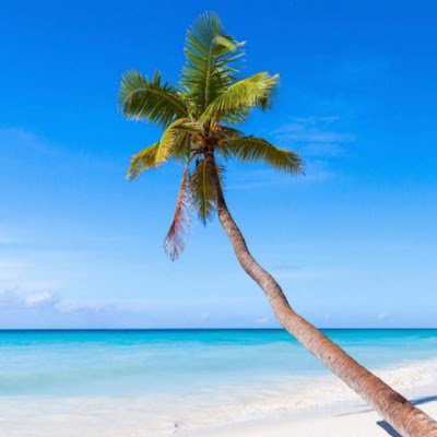 itshim2343's profile picture. 