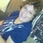Sherry A. Flerl (@saflerl) Twitter profile photo