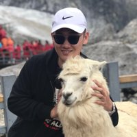 シュンジョーァ U^ェ^U (@mszpro) 's Twitter Profile Photo シュンジョーァ U^ェ^U (@mszpro) 's Twitter Profile Photo