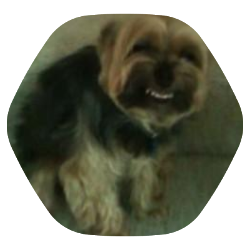 wackassmixup's profile picture. A regular guy