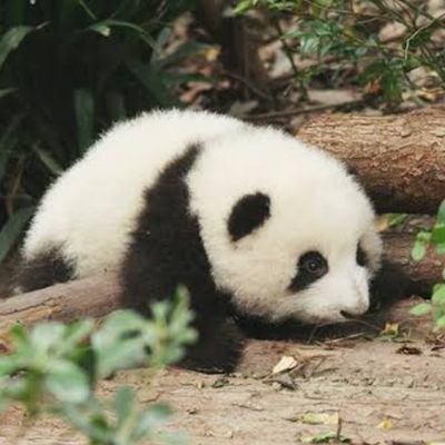 nagisa_03456's profile picture. ゲームや音楽が好きです。