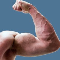 taipeimuscle (@taipeitutor) 's Twitter Profile