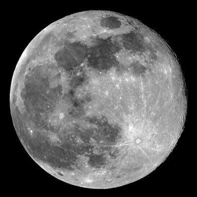 Un41Ds's profile picture. 好奇心を燃料にして動きます。 写真、生き物、紅茶、アート、音楽など、いろんなことが好きな雑食性。