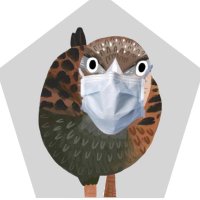Thomas Lumley (@tslumley) 's Twitter Profile