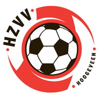 HZVV (@hzvv) 's Twitter Profile