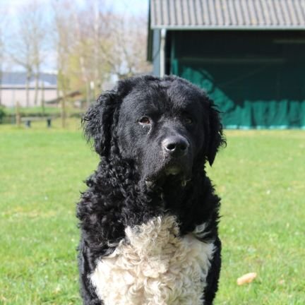 roel_rusink's profile picture. 