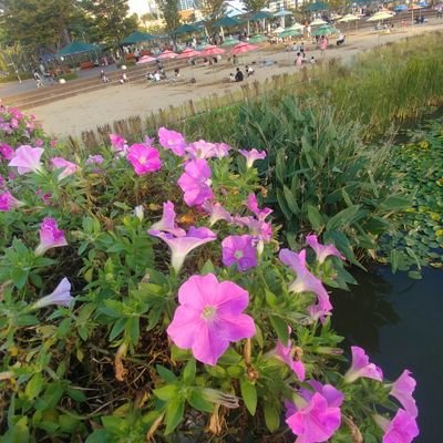 reindeer7165's profile picture. 