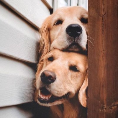 Devanshii04's profile picture. Hi, my instagram wasn't enough to keep me engaged so here I am!🥂