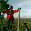 José Valente - @26Valente - Twitter