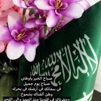 وطني الحبيب 2 (@ihgsal) Twitter profile photo