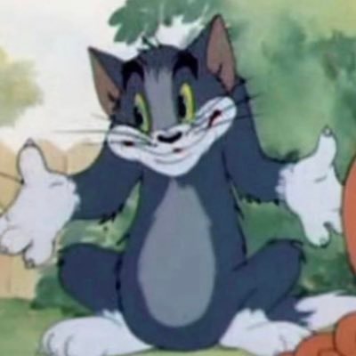 engineerwannab's profile picture. penggemar berat max verstappen