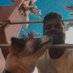 Kavi Arunachalam (@arunachalamkavi) Twitter profile photo