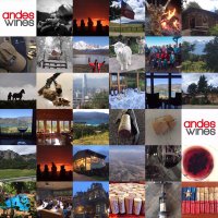 Public-Private Initiatives (@venture_chile) 's Twitter Profile