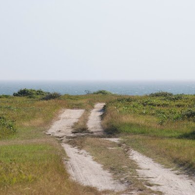 TimMall88739321's profile picture. 