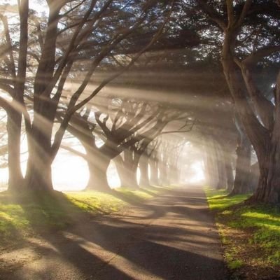 518planet's profile picture. 