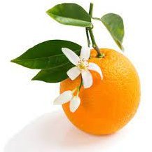 unaspalabras11's profile picture. 在英。読書、料理、自然、育児等の日常。