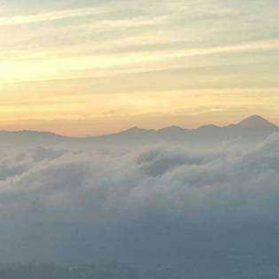 Delia60184668's profile picture. 