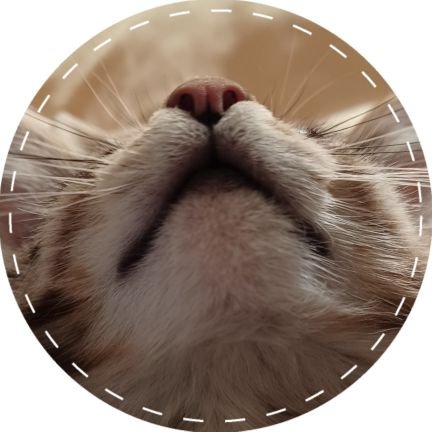 ACOさんのプロフィール画像
