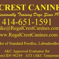 REGAL CREST CANINES (@regalcrest) 's Twitter Profile