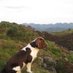 From The Donie (@mourne_rambler) Twitter profile photo From The Donie (@mourne_rambler) Twitter profile photo