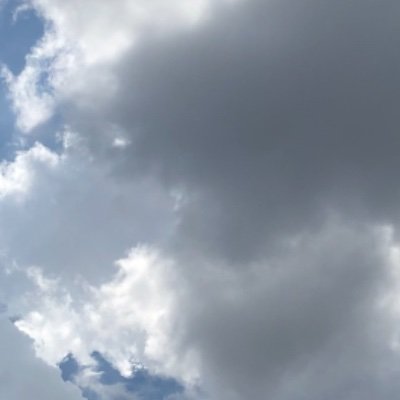 ngam_yw's profile picture. 