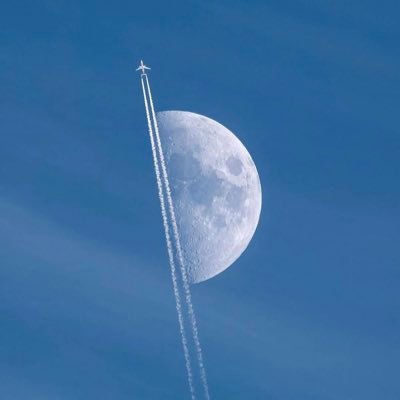 yumllat's profile picture. Diplomat, lover of progress, patriotic Nigerian,a darling husband of Abebi.