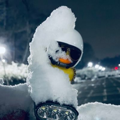 tuka_yosi's profile picture. 最近朝食はパン派からご飯派に変わった僕です。/ホーム画像は小5の春休みの写真！/魚好き/ラグビー北河内選抜A/