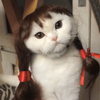 rdx (@erredexis) 's Twitter Profile