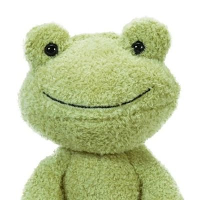 gaebalguri's profile picture. Frontend 입문