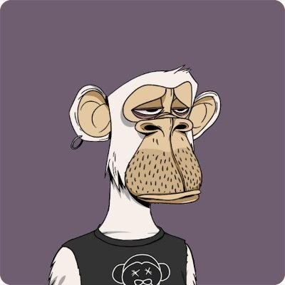 SleepyBoredApe Profile Picture