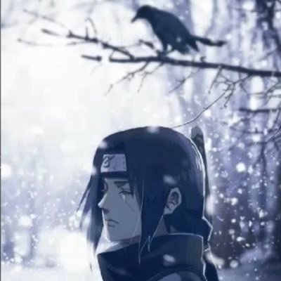 Ginger7om's profile picture. 