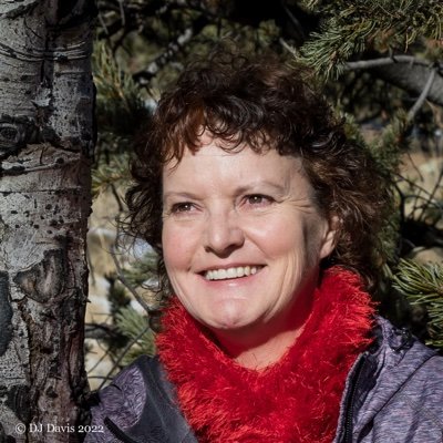 djdavisauthor's profile picture. Thriller/Suspense Author