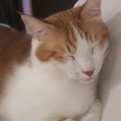 Bunca gürültünün içinde ilk kez içim sessiz çünkü senin yanındayım. herkesin arayıpta bulamadığı şeyi ben bulmuş gibiyim