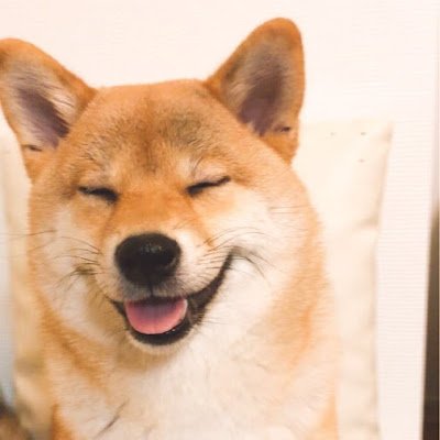 PYWEg9ElhsNhVJJ's profile picture. 