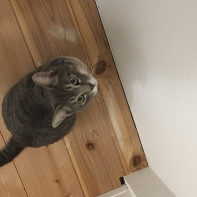 mZhyQigyQNnF3a7's profile picture. 第一子を授かり育休を約8ヶ月取得し、2023年4月から職場復帰。また、知識と仕事の幅を広げるため、中小企業診断士の資格取得を目指してます→2023年一次試験合格。趣味は、音楽鑑賞と料理。ミスチル好き。