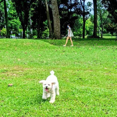Data Engineer 👩💻 🇭🇰 🇸🇬 Bookworm 📚 Runner🏃♀️Lily's mum🐕 Love to meet new friends🙂Opinions are my own 🐥Tweet about what inspires me at work ❤️