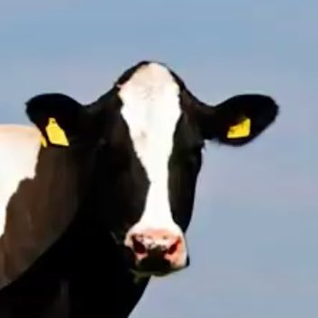 maxexistsfr's profile picture. 