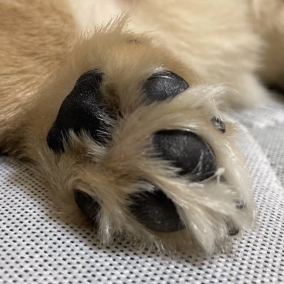 すちゃんさんのプロフィール画像