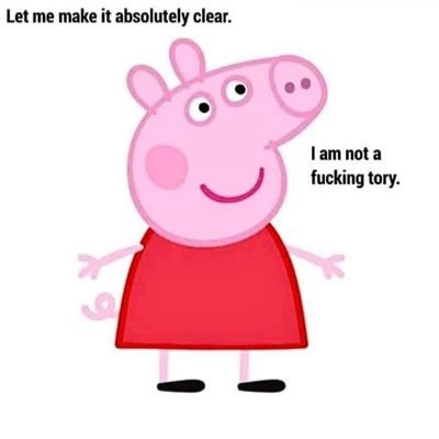 munstervillan's profile picture. it will all be ok in the end and if it’s not ok, it’s not the end! #lovebrum socialist and sometimes optimist