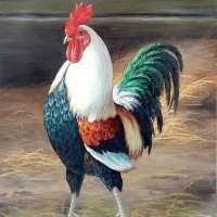 @zeki Olgun aktifim esenyurt (@aktifimzeki) 's Twitter Profile