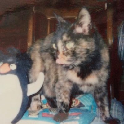 motoo【いろんな仕事してる人】さんのプロフィール画像