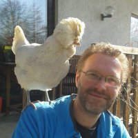 Niels Dingemanse (@dingemanselab) 's Twitter Profile