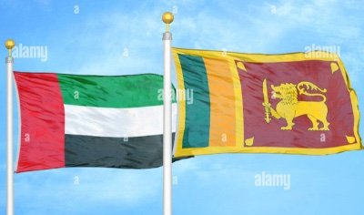Zaid64485987's profile picture. A firm believer of One God who is the most merciful, Father of three. Fan of Cricket, Sri Lankan 🇱🇰 and I call UAE 🇦🇪 my 2nd Home.