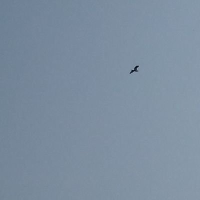 Claimz24's profile picture. Chelsea fc💙