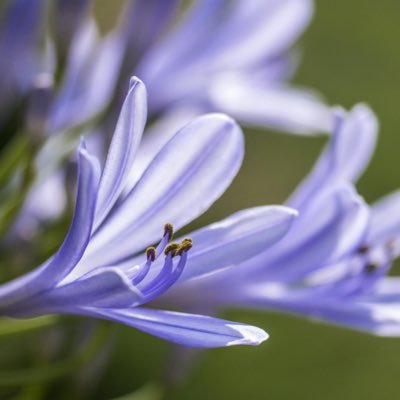 ekin33doga's profile picture. Notizie Cibo e bevande Stile di vita Tecnologia e scienza Cibo e bevande Giornalisti e opinionisti