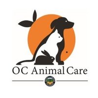 OC Animal Care (@ocanimalcare) 's Twitter Profile