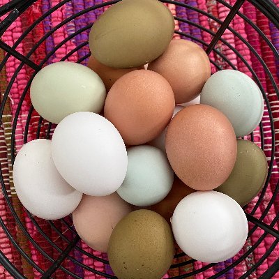 ourhobbyfarm's profile picture. 